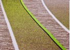 Мокетен килим ERIKA 8012 beige/green елипса